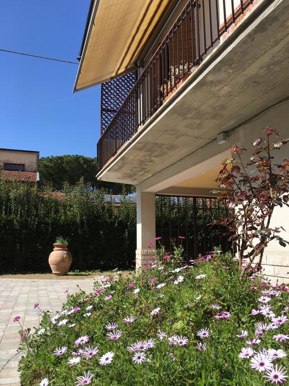 Apartament La Casa Di Nila Piza Zewnętrze zdjęcie